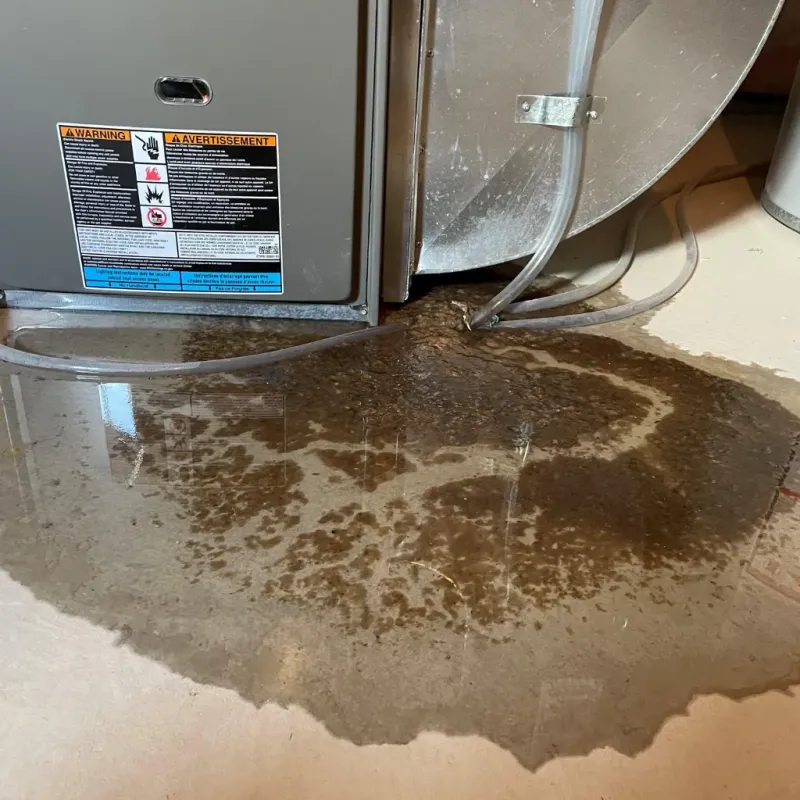 Appliance Leak Cleanup in Rochester, WI